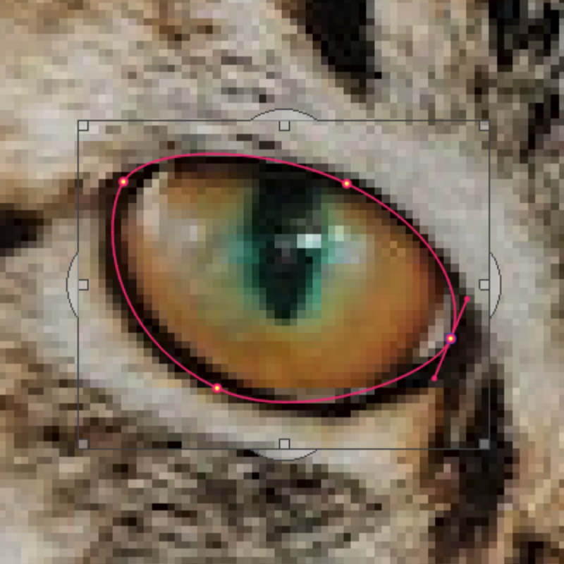 Subpixel accuracy shown on the picture of a cat zoomed in to show only the eye
